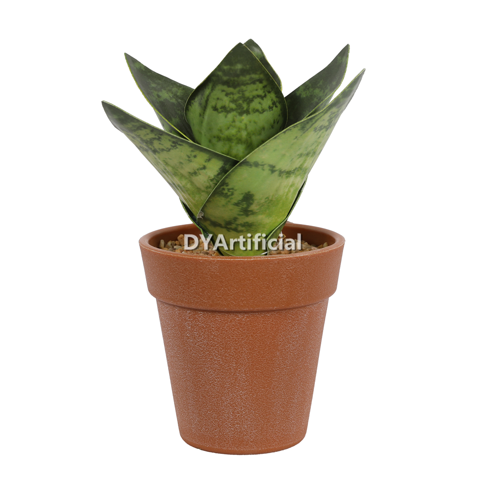 Mottled Leaves In A Plastic Pot 15CM Height