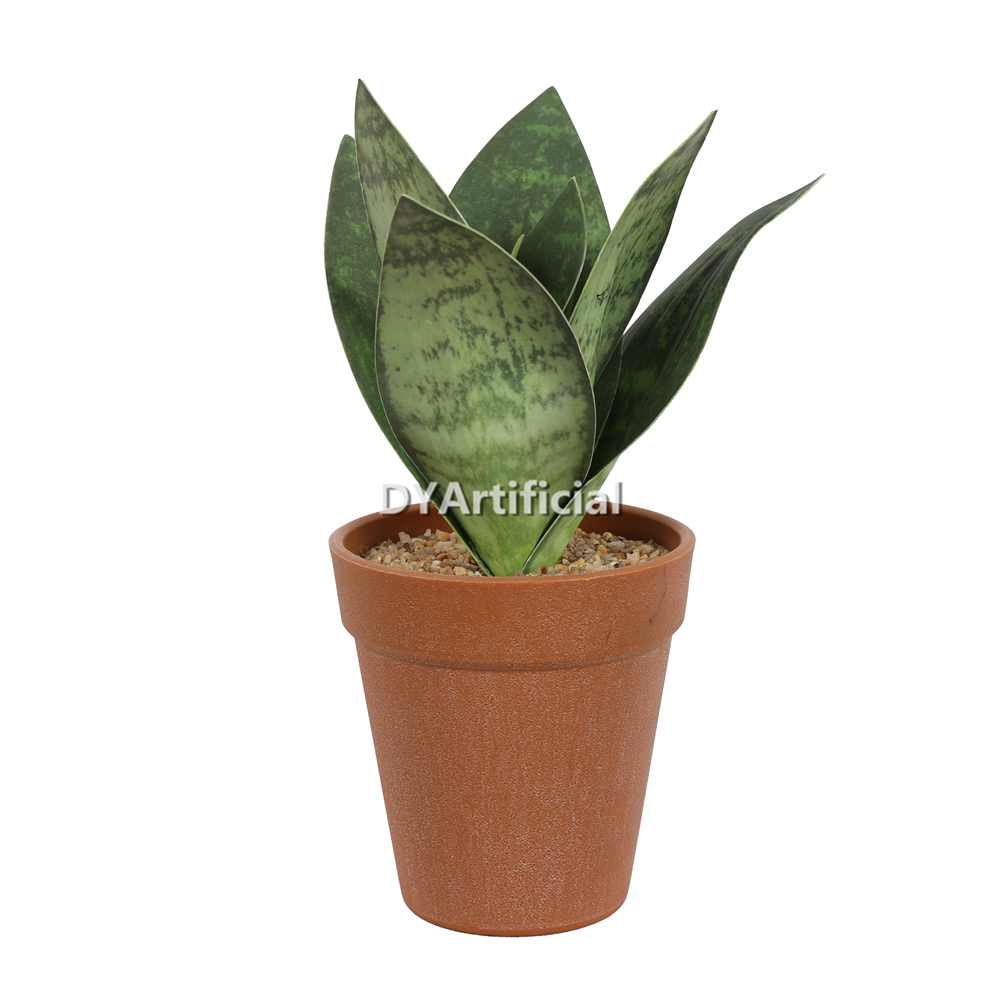 Mottled Leaves In A Plastic Pot 22CM Height