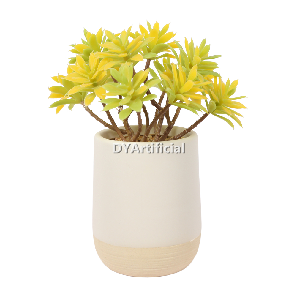 Lotus In Ceramic Pot 17CM Height