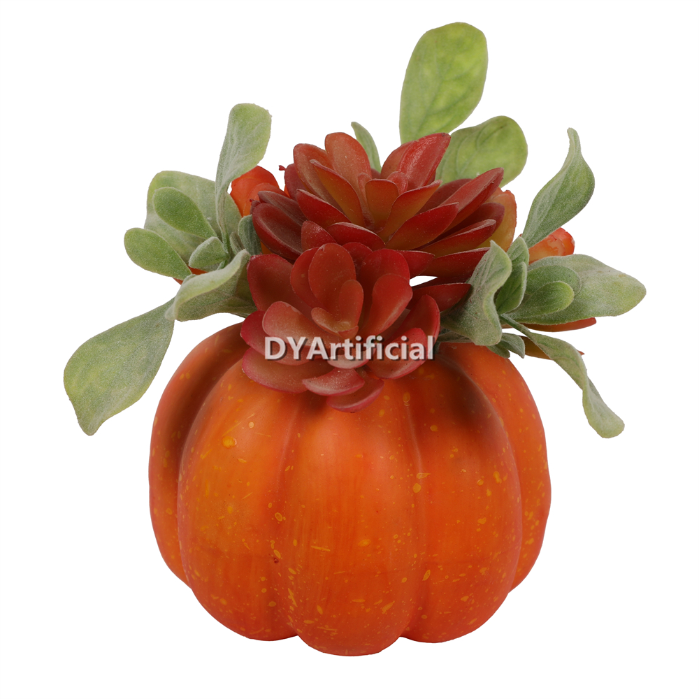 5 H Succulent In Pumpkin Pot 13CM Height