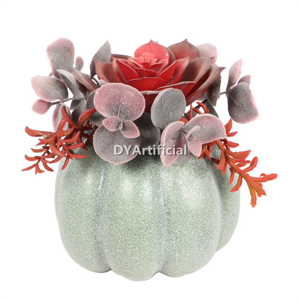 4.5 H Succulent In Pumpkin Pot 11.5CM Height