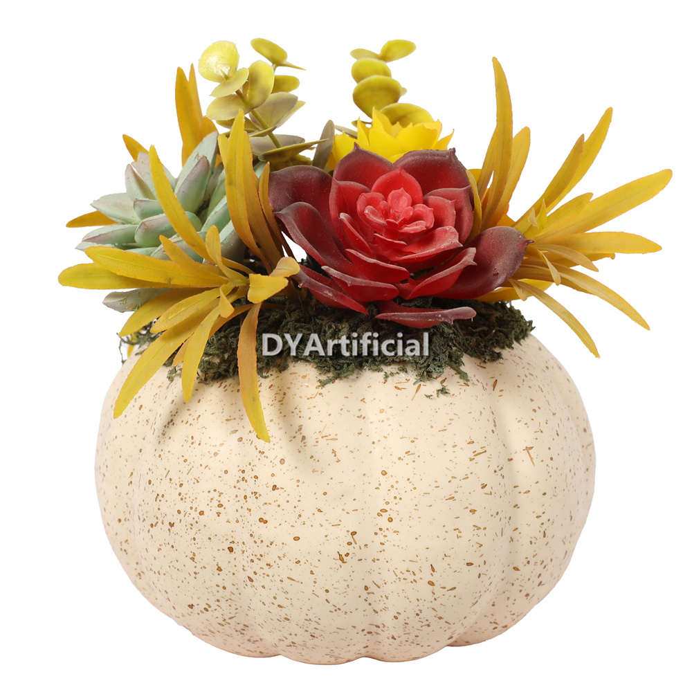 Pumpkin With Succulent Plant 20CM Height