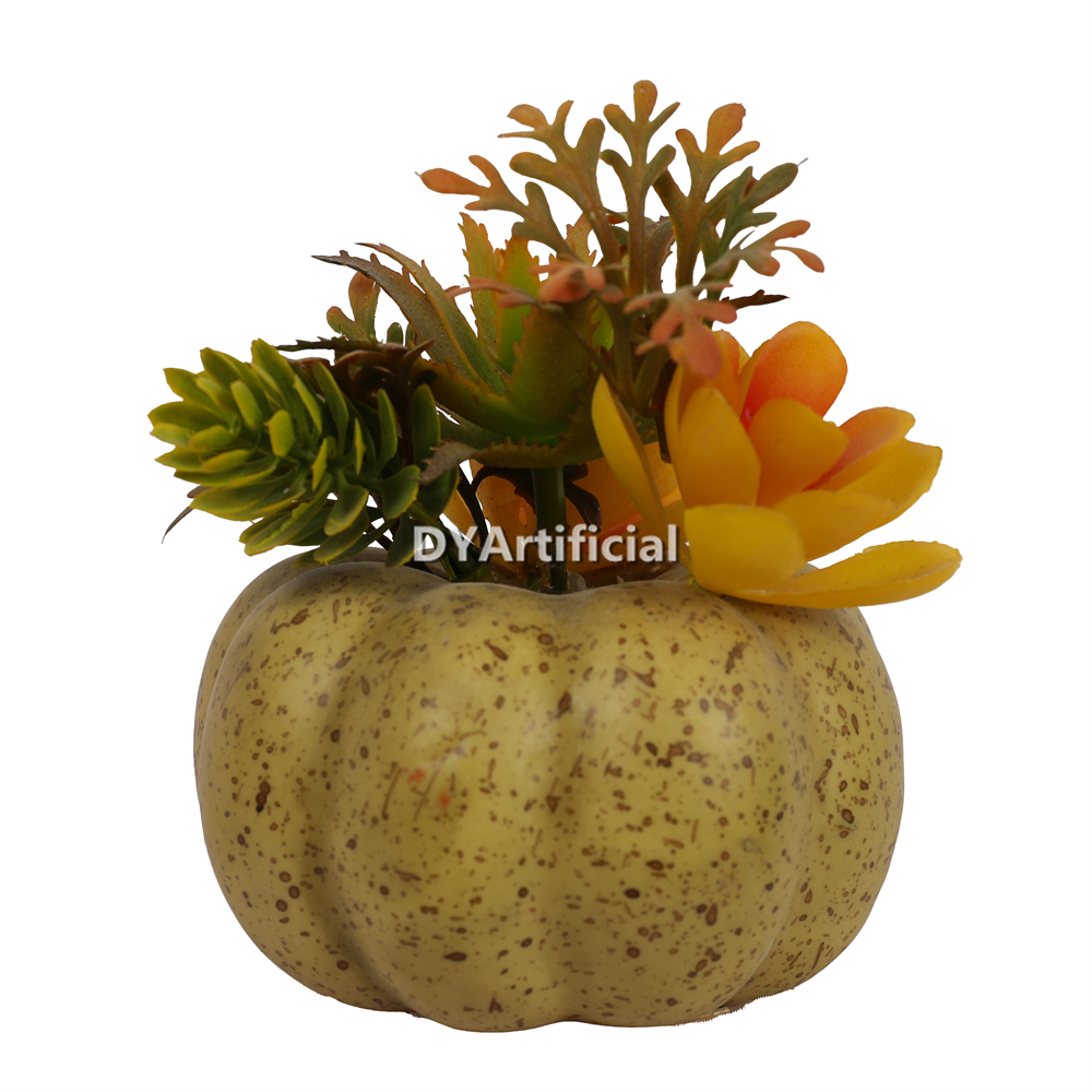 4 H Succulent In Pumpkin Pot 10CM Height