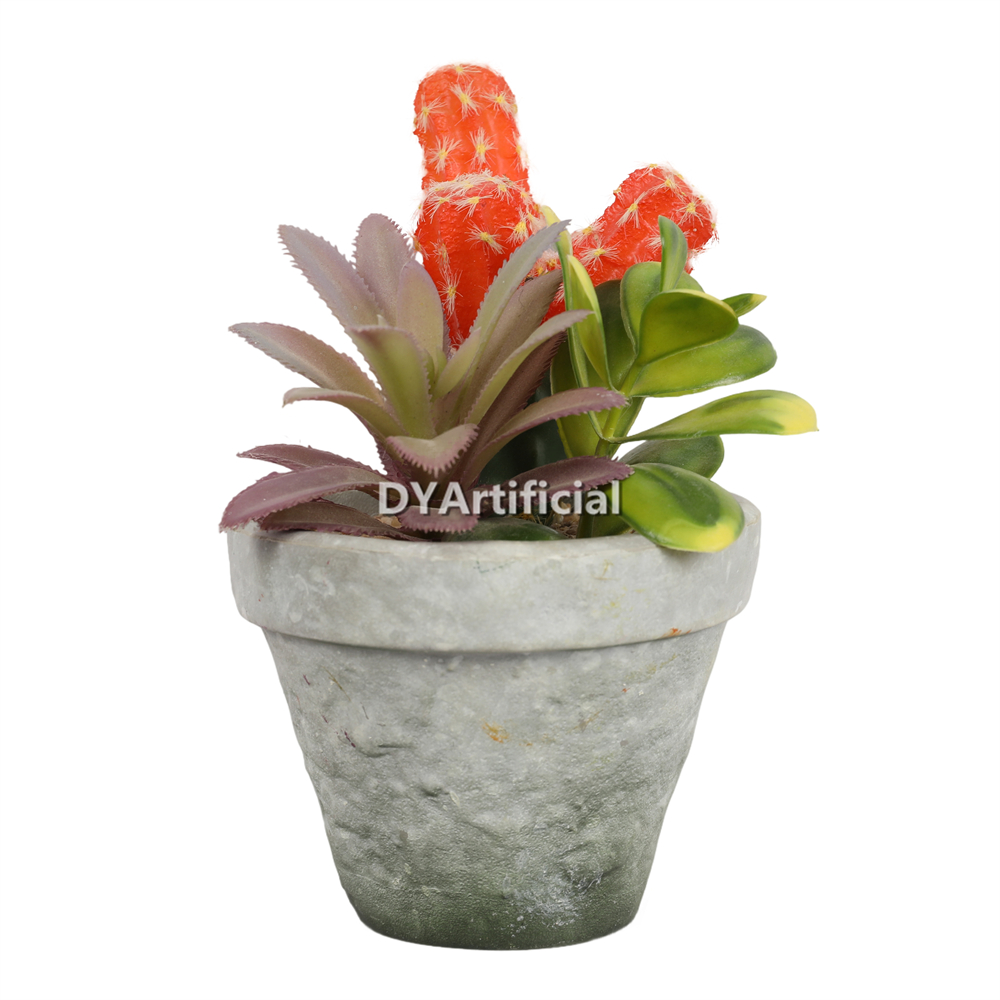 Plant Hair Cactus and Pineapple Miscellaneous Succulents 18.5CM Height