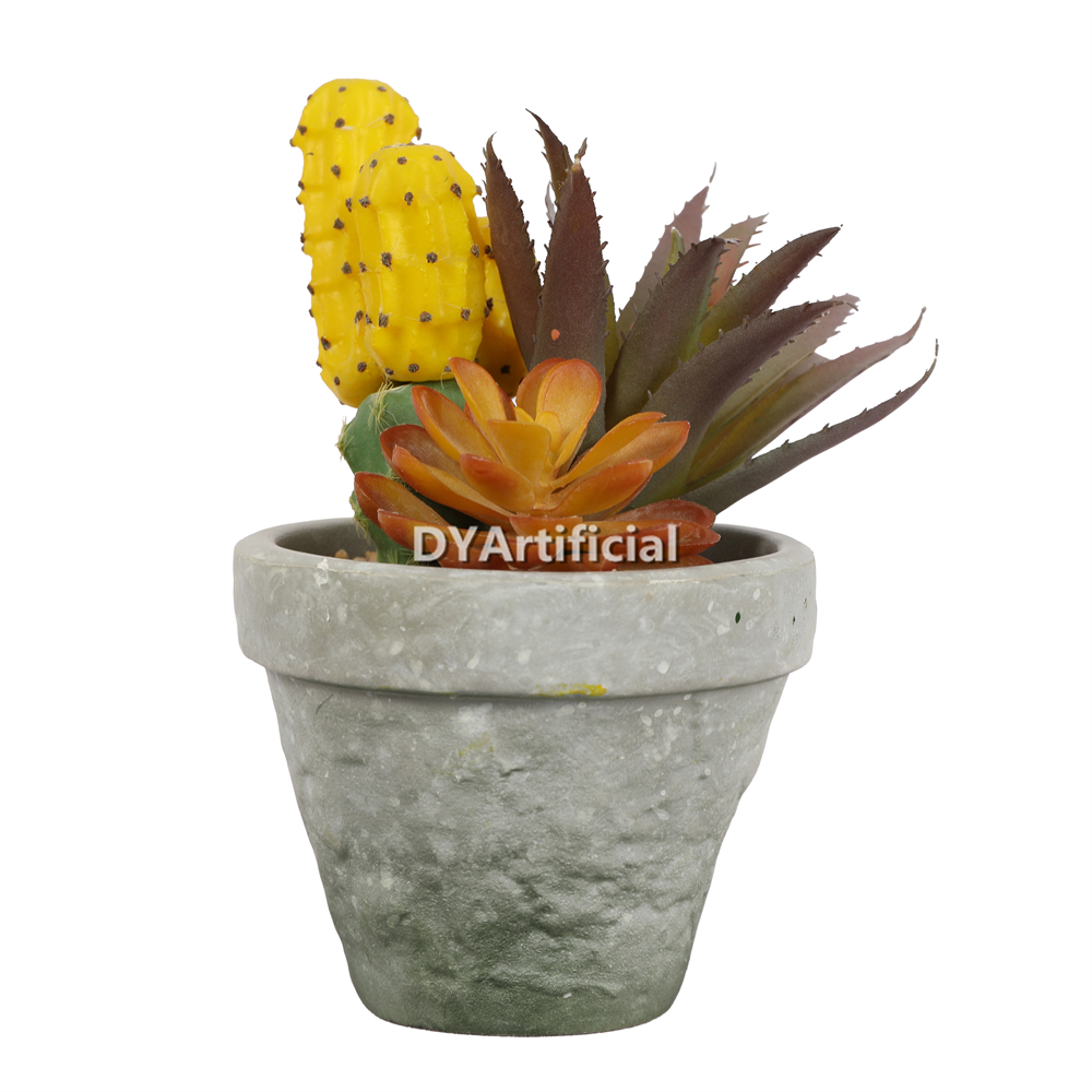 Plant Hair Cactus and Pineapple Miscellaneous Succulents 19.5CM Height