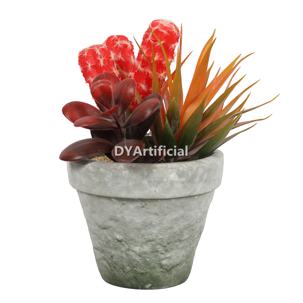 Plant Hair Cactus and Pineapple Miscellaneous Succulents 19.5CM Height