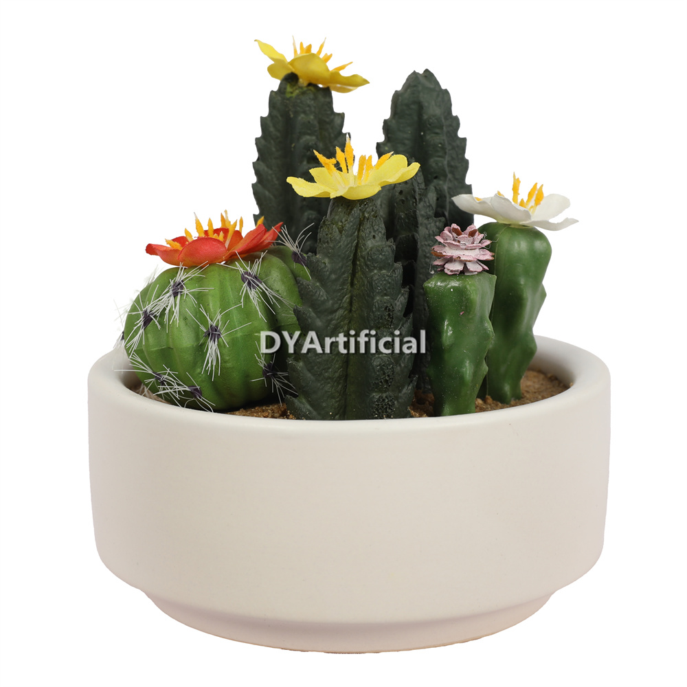Cactus In Ceramic Pot 12CM Height