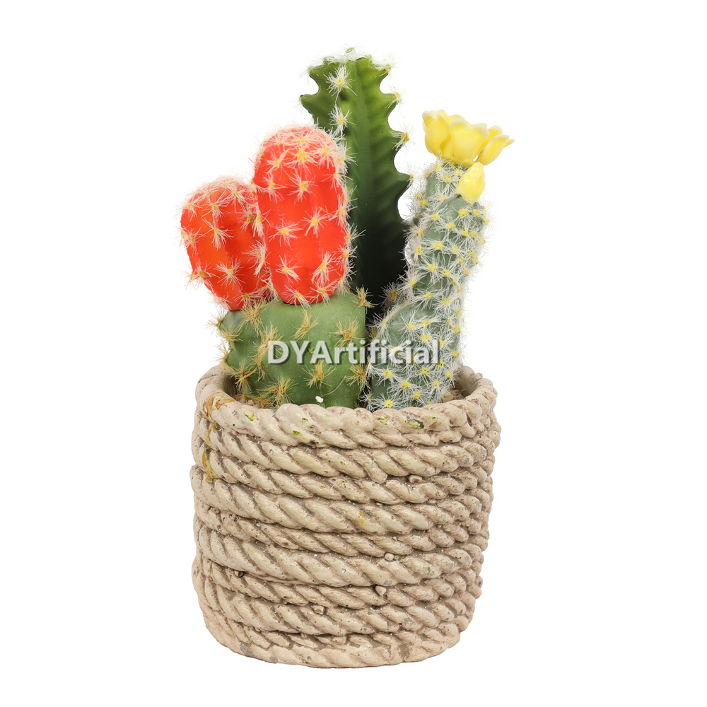 Premium Succulent Plants Mixed Flowers 17.5cm Height Indoor