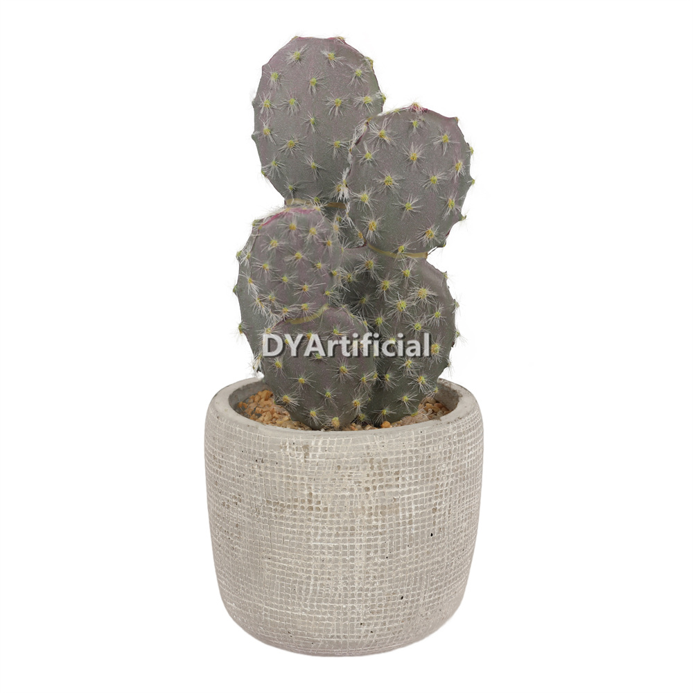 Cactus 21.5CM Height