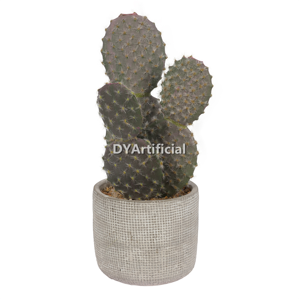 Cactus 27.5CM Height