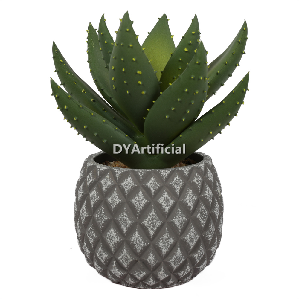 Aloe Vera In Cement Pot 21CM Height