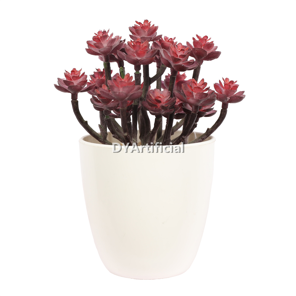 Succulents Plants 14.5CM Height