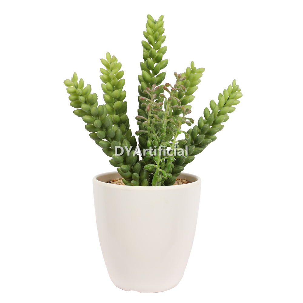 Succulent Plants In Melamine Pot 23.5CM Height