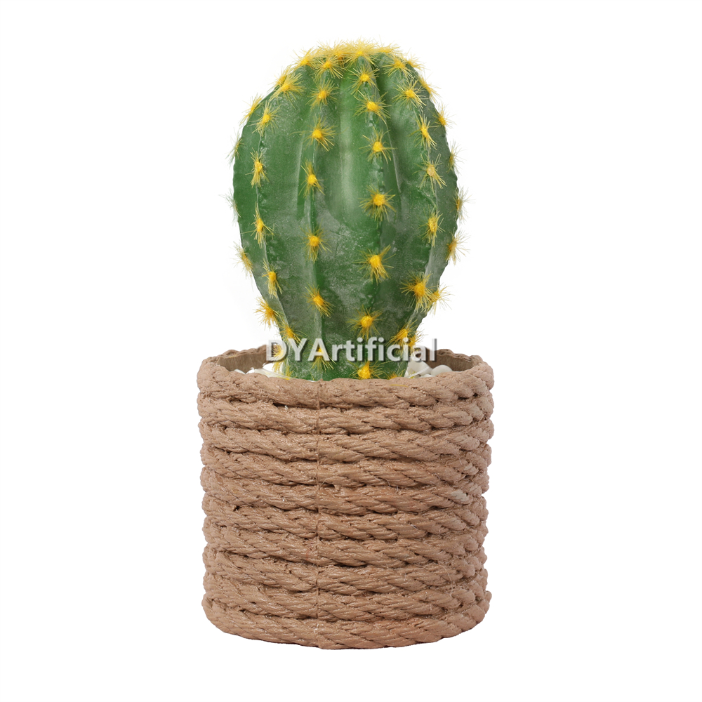 Cactus In Eva Pot 15CM Height