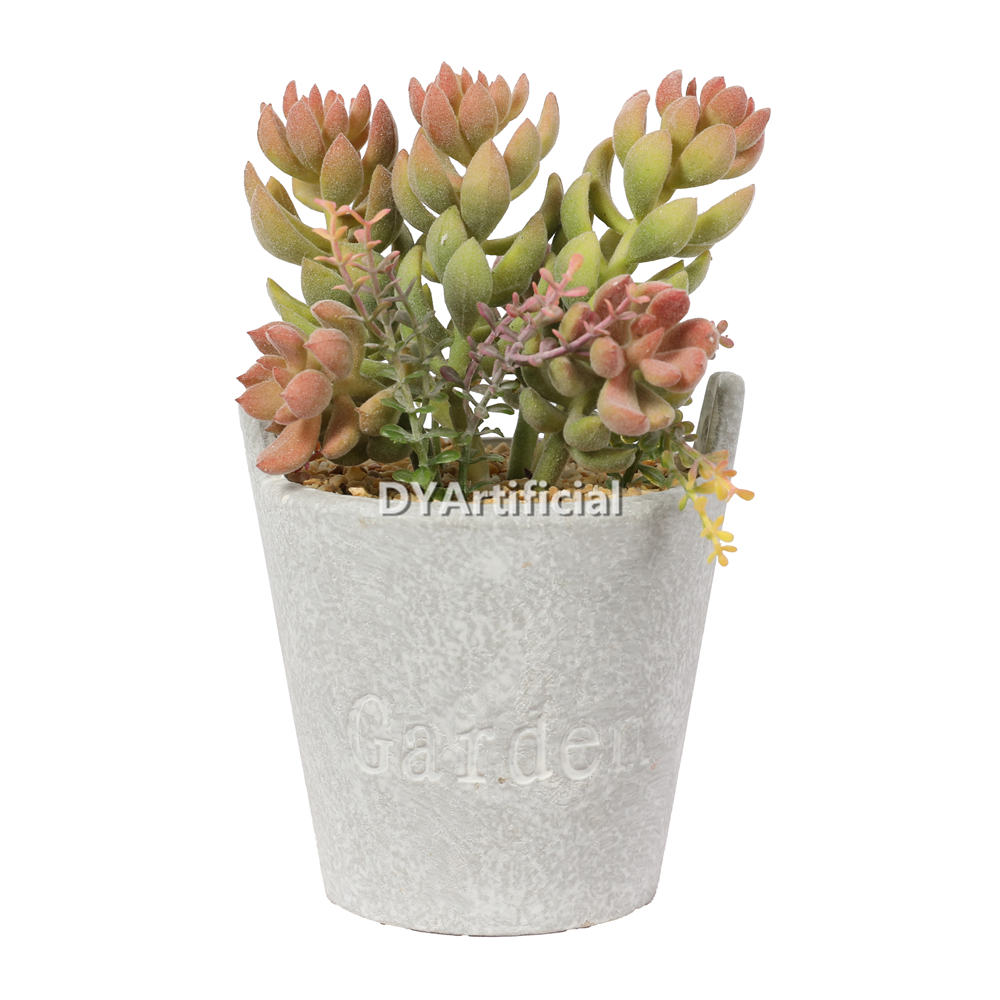 Succulent Plants In Paper Pot 19CM Height