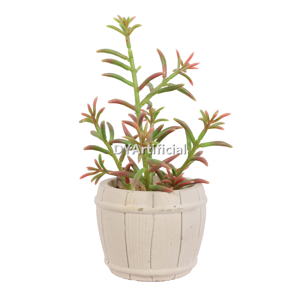 Plants In Cement Pot 20CM Height