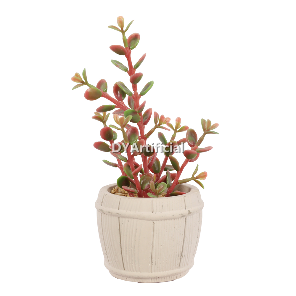 Plants In Cement Pot 21.5CM Height