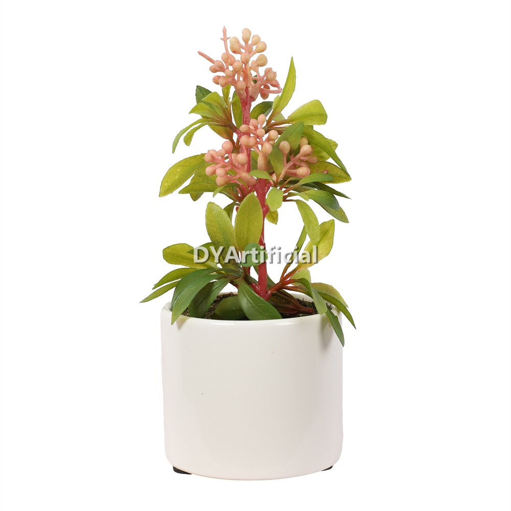 Premium Succulent Plants 24.5CM Height