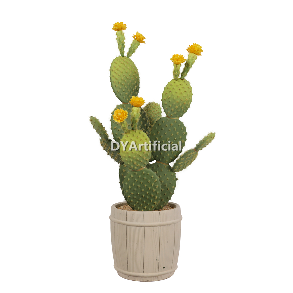 Premium Succulent Plants Cactus 57CM Height
