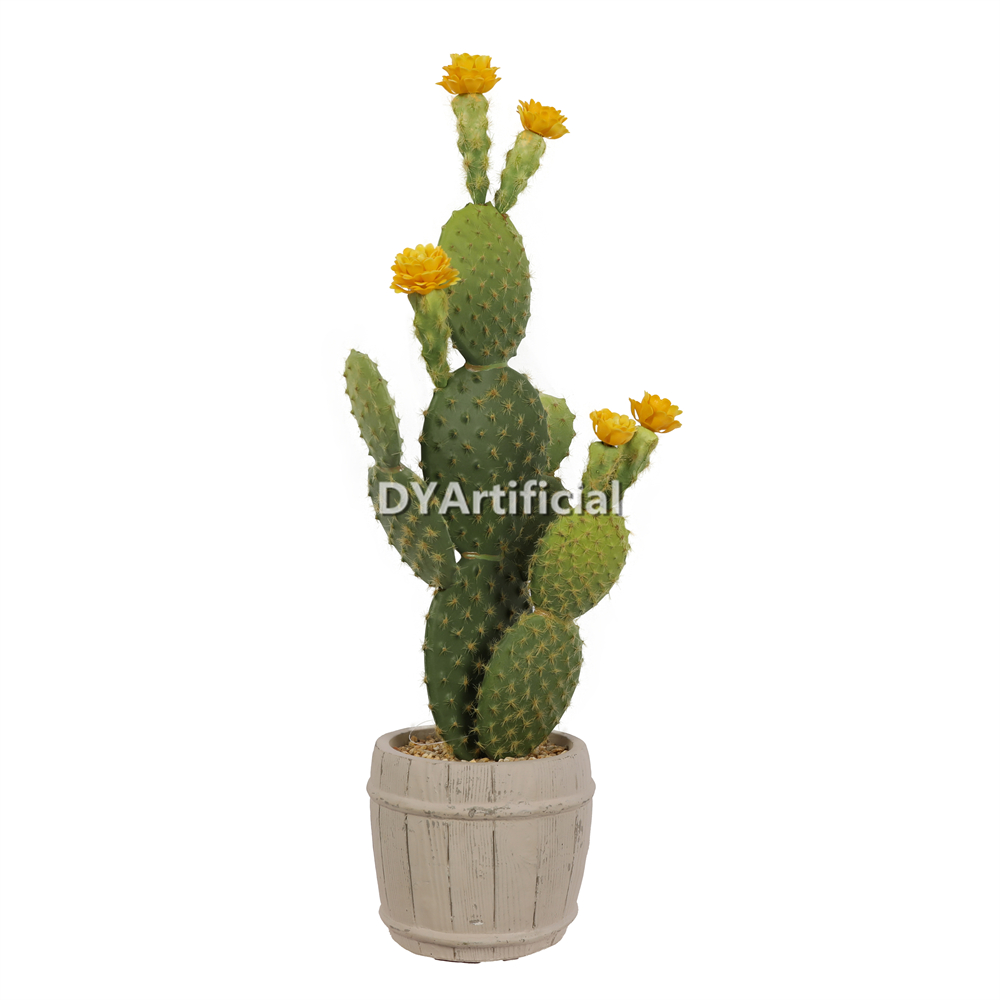 Premium Succulent Plants Cactus 47.5CM Height