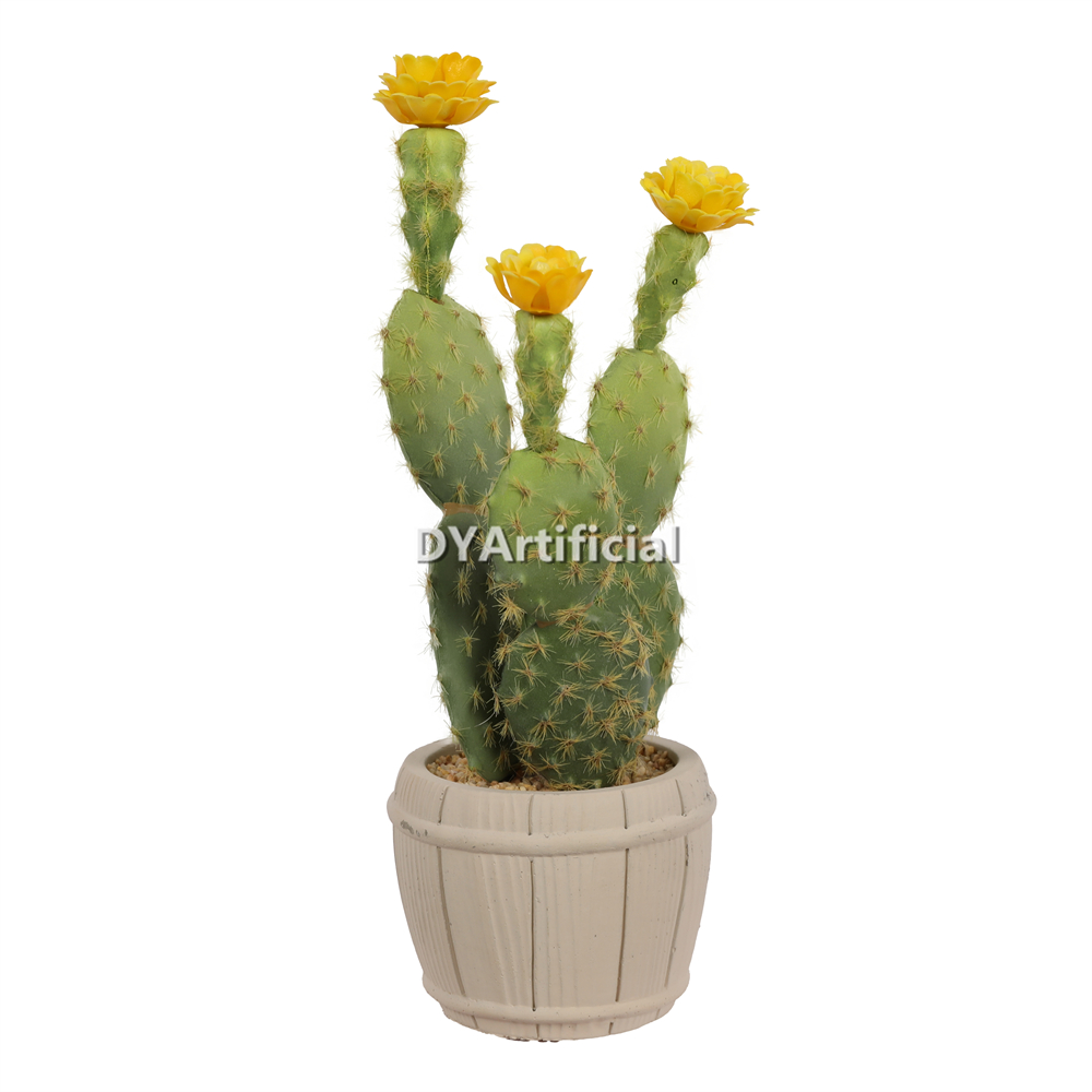 Premium Succulent Plants Cactus 26.5CM Height