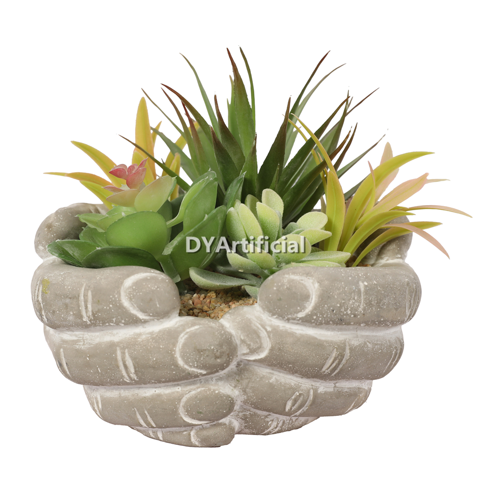 Premium Hand-Held Succulents Plants 15.5cm Height Indoor