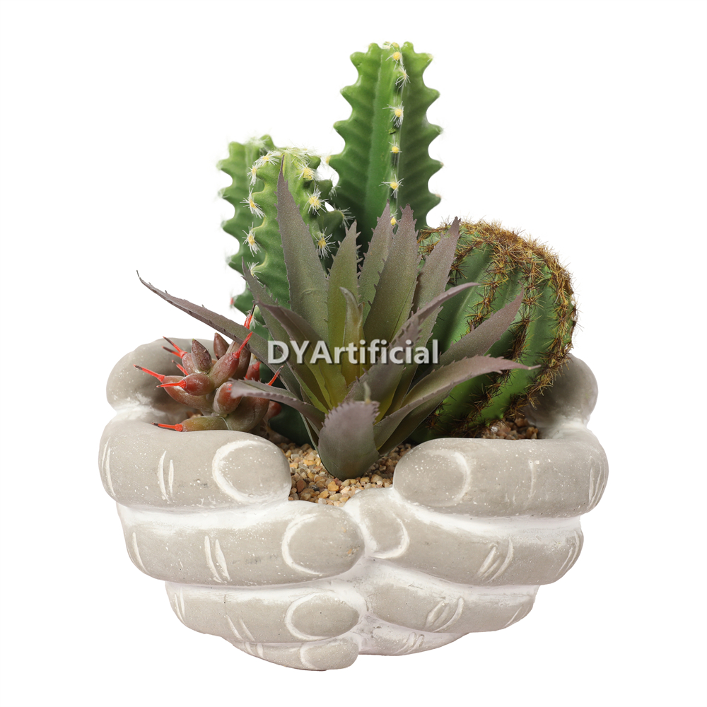 Premium Hand-Held Succulents Plants 19cm Height Indoor