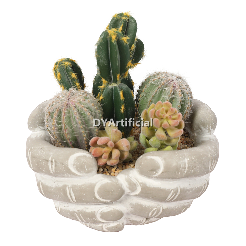 Premium Hand-Held Succulents Plants 17cm Height Indoor