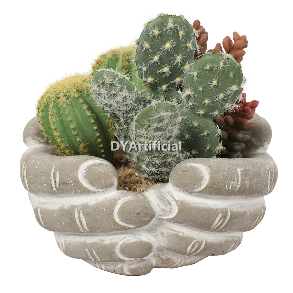 Premium Hand-Held Succulents Plants 17cm Height Indoor