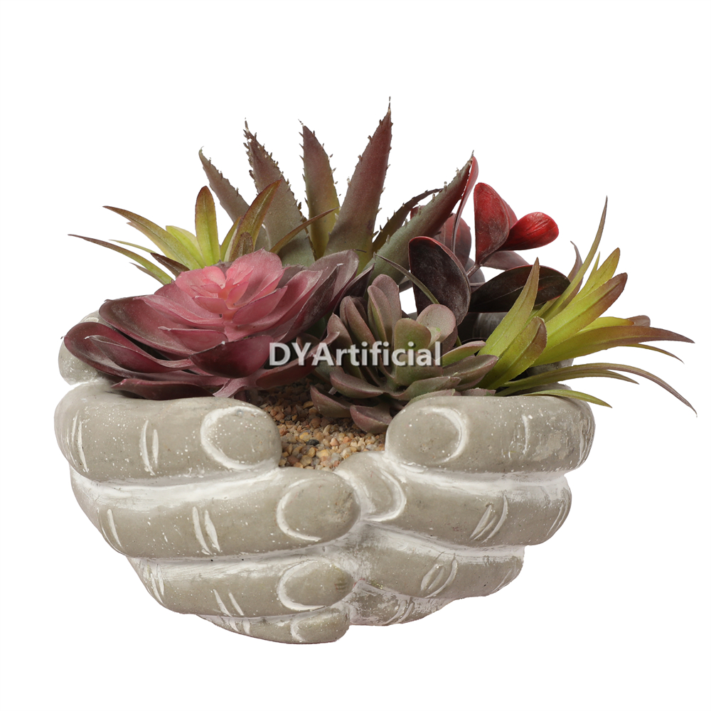 Premium Hand-Held Succulents Plants 17cm Height Indoor