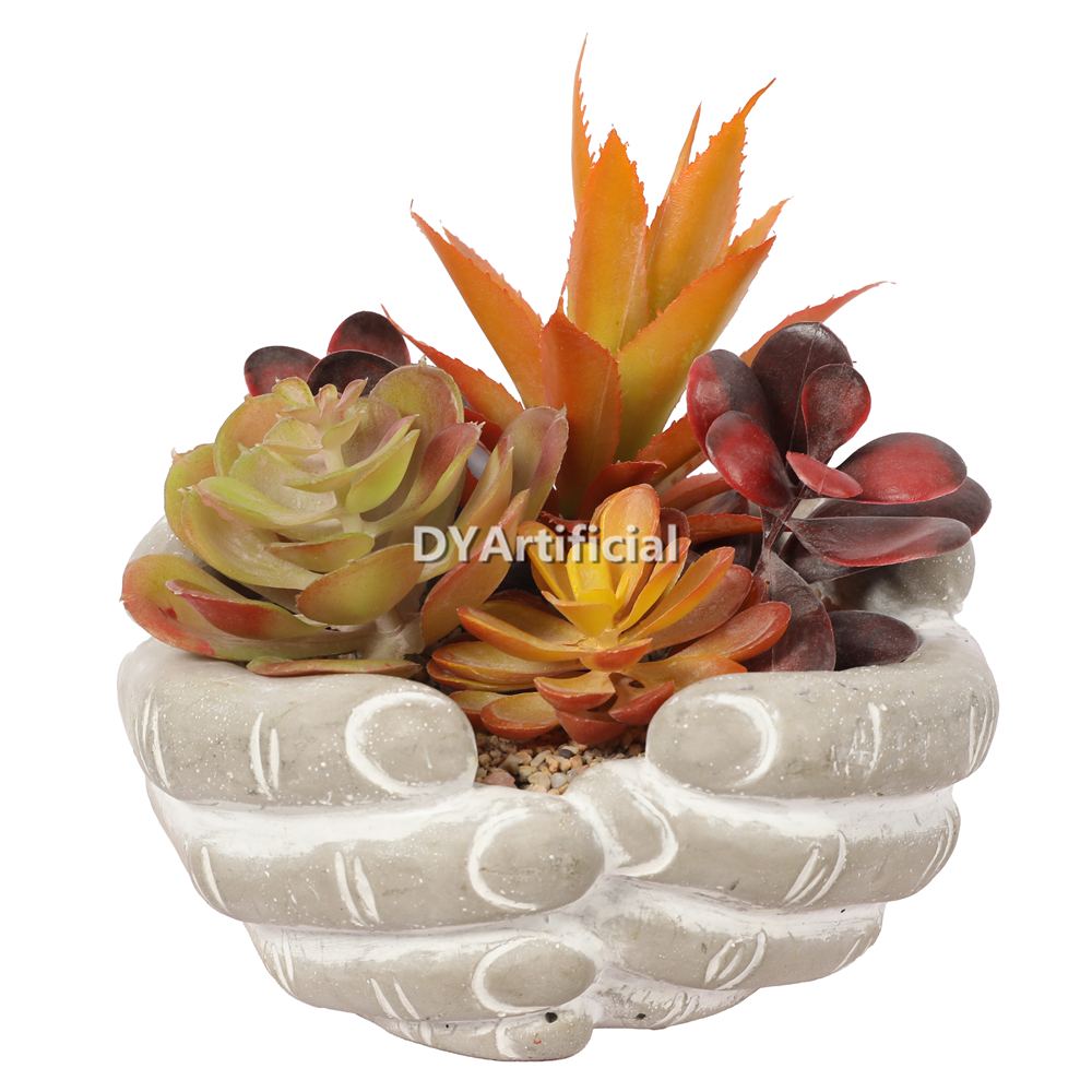 Premium Hand-Held Succulents Plants 16.5cm Height Indoor