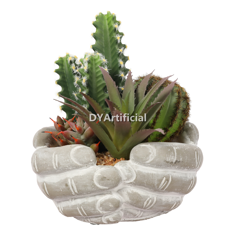 Premium Hand-Held Succulents Plants 19cm Height Indoor