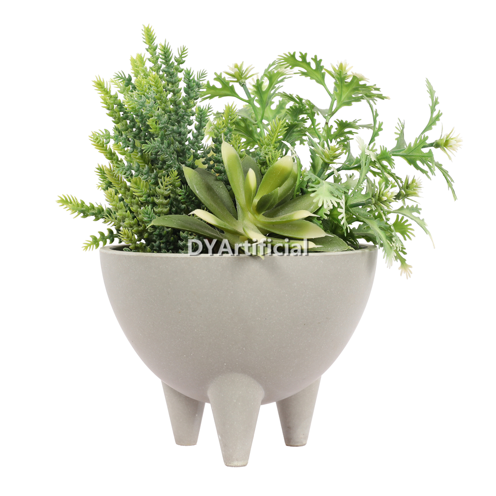 Premium Succulent Plants 18.5CM Height
