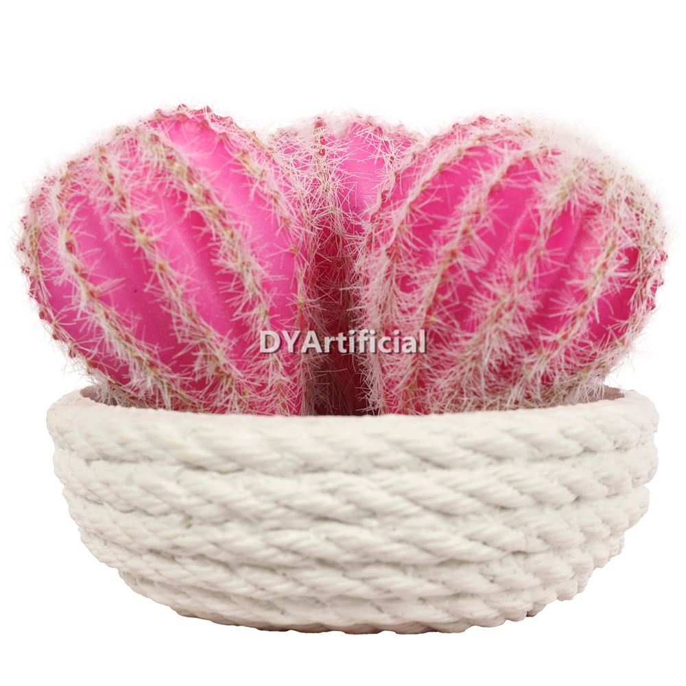 Cactus In Eva Pot 8CM Height