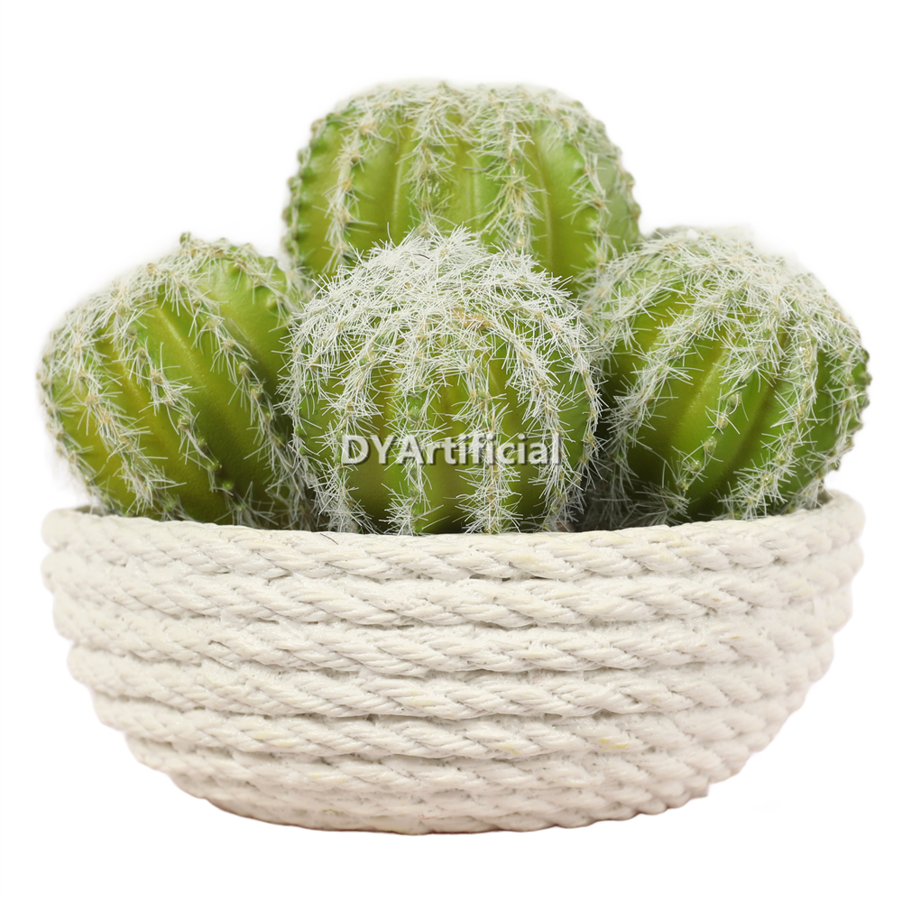 Cactus In Eva Pot 12CM Height