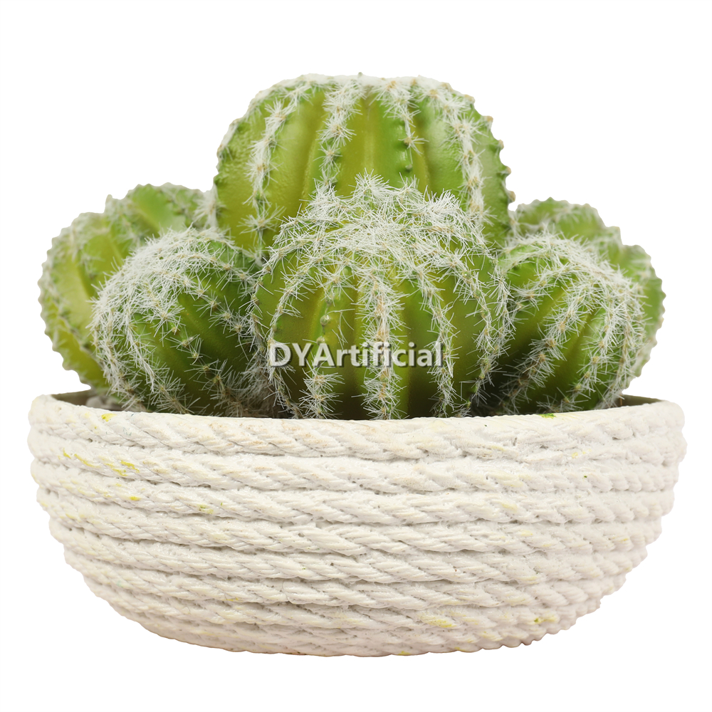 Cactus In Eva Pot 14CM Height
