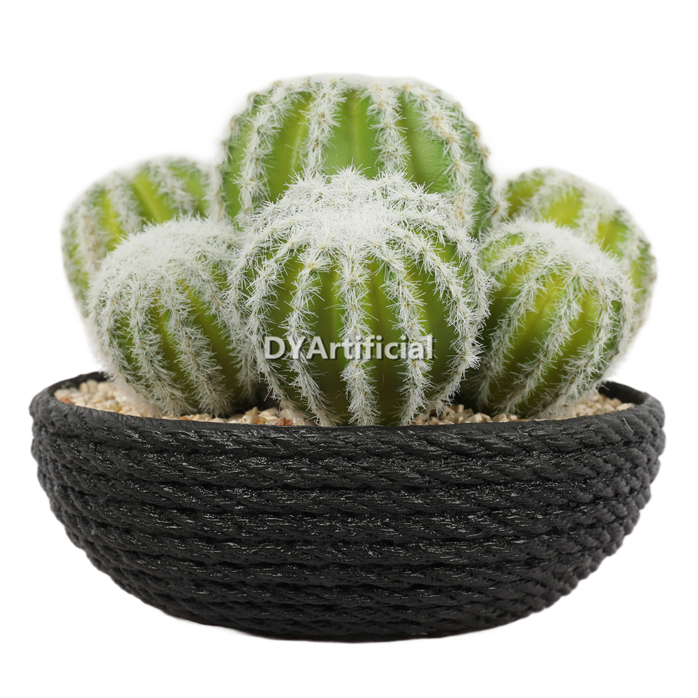 Cactus In Eva Pot 14CM Height