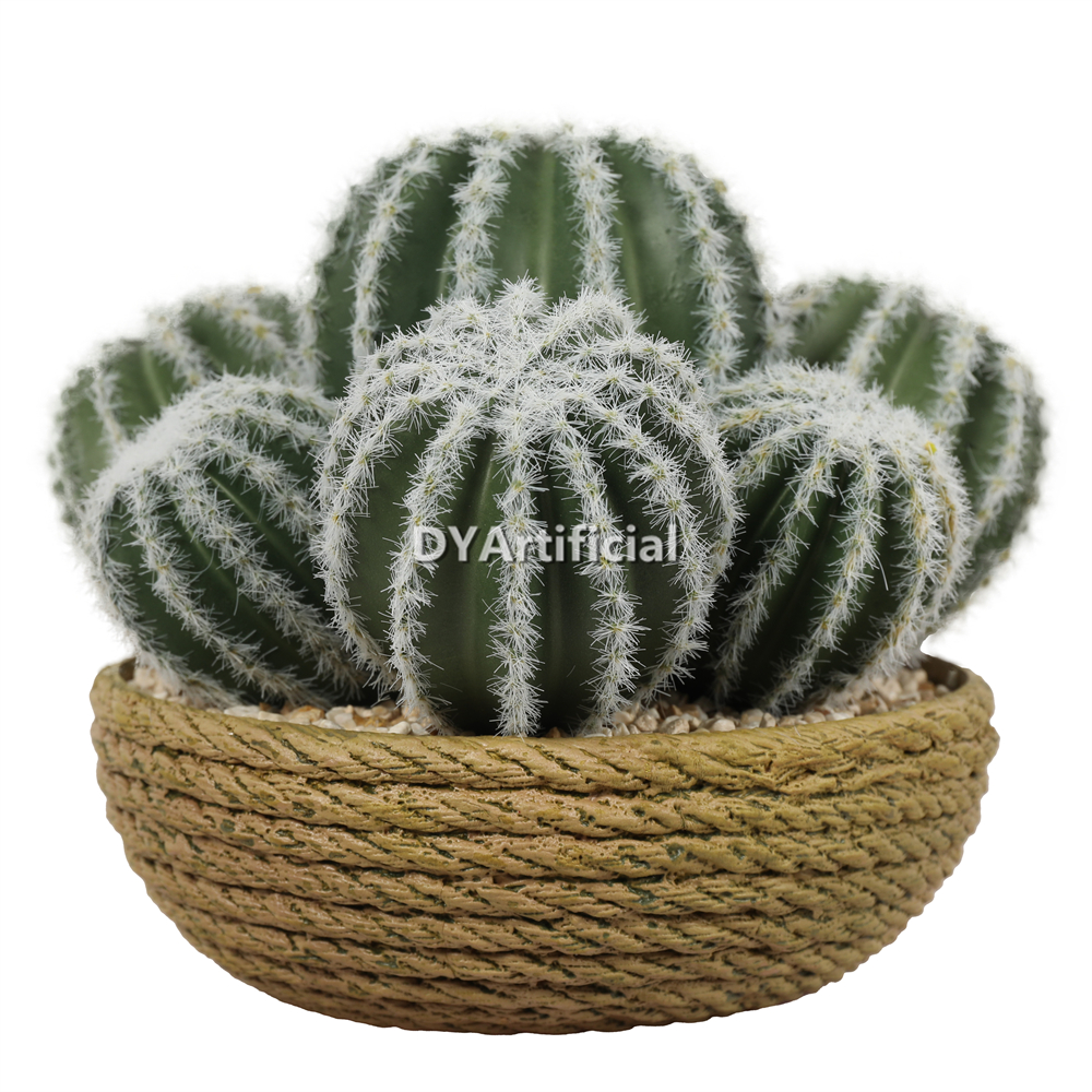 Cactus In Eva Pot 14CM Height