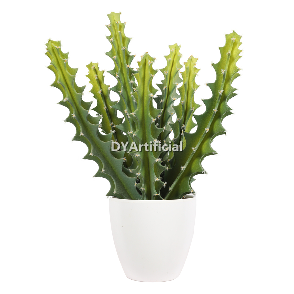 Succulent Plants In Plastic Pot 45CM Height