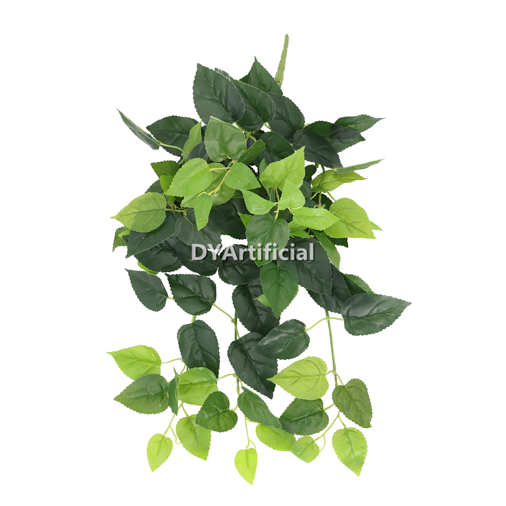 Green Basil Hanging Bush 60CM Length Indoor