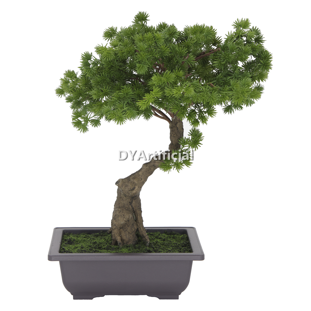 Nice Potted Pine Bonsai 48CM Indoor NEW