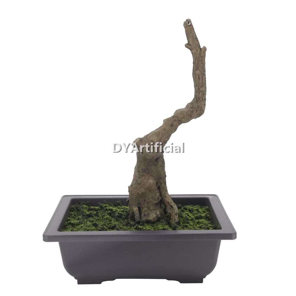 Nice Potted Pine Bonsai 48CM without leaves