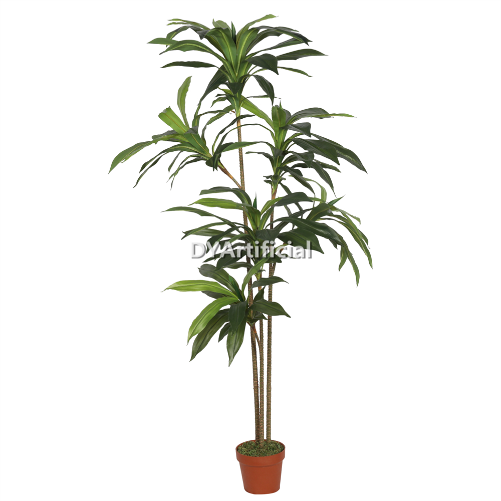 Artificial Dracaena Fragrans 160CM Height Indoor