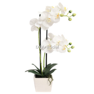 56CM Nice Potted Phalaenopsis in White