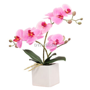 33CM Potted Phalaenopsis in Pink