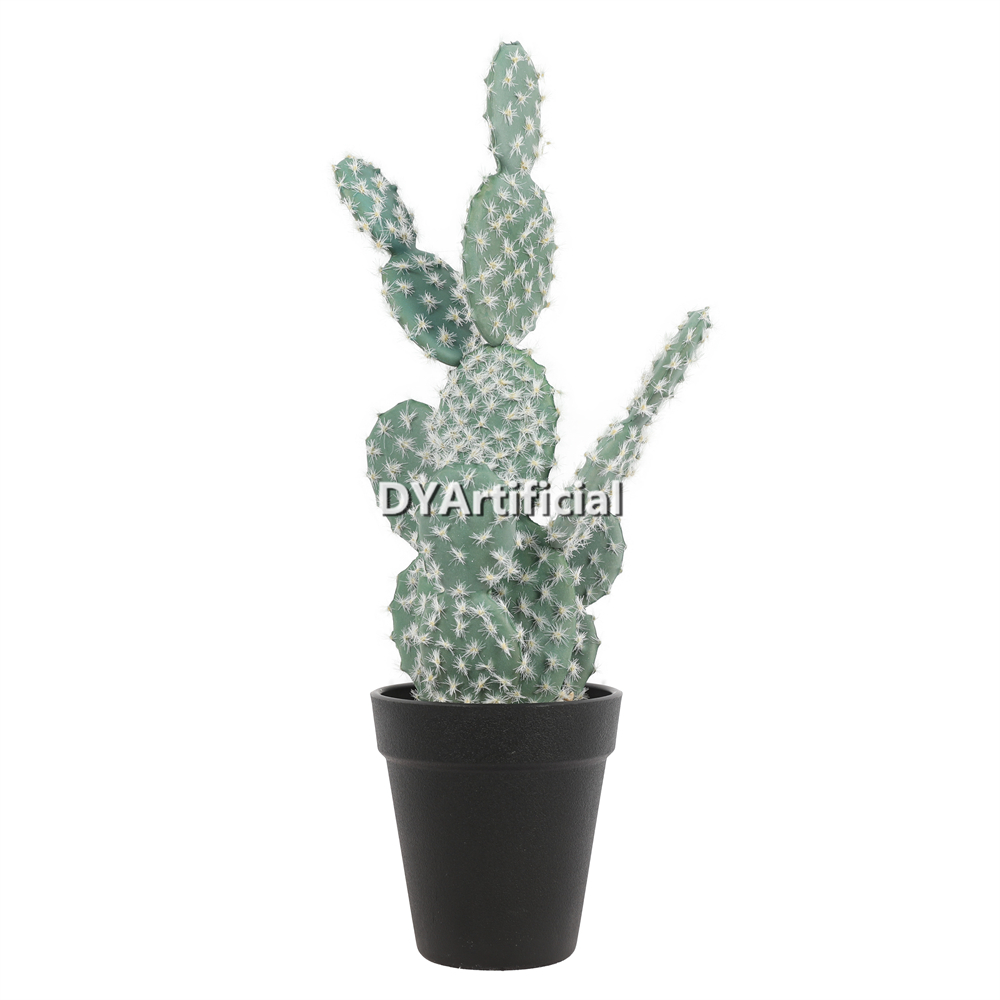Cactus In Plastic Pot 34CM Height Indoor