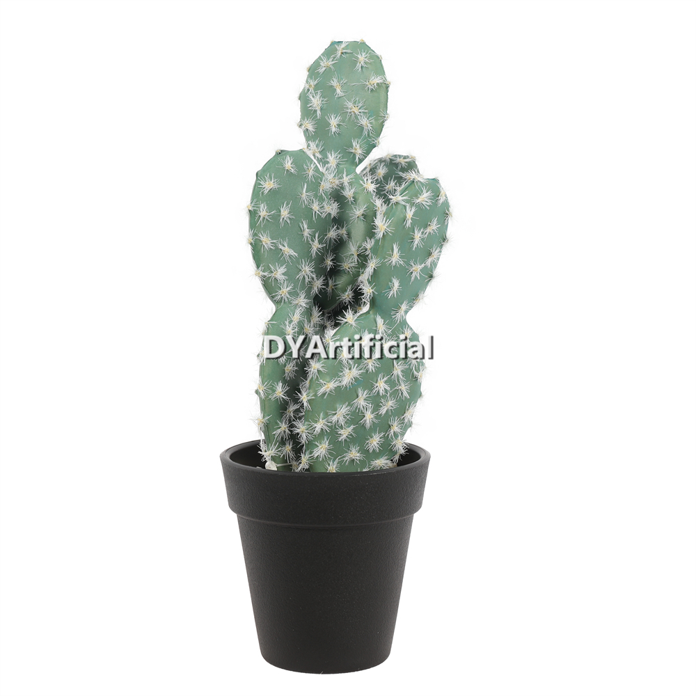 Cactus In Plastic Pot 23.5CM Height Indoor