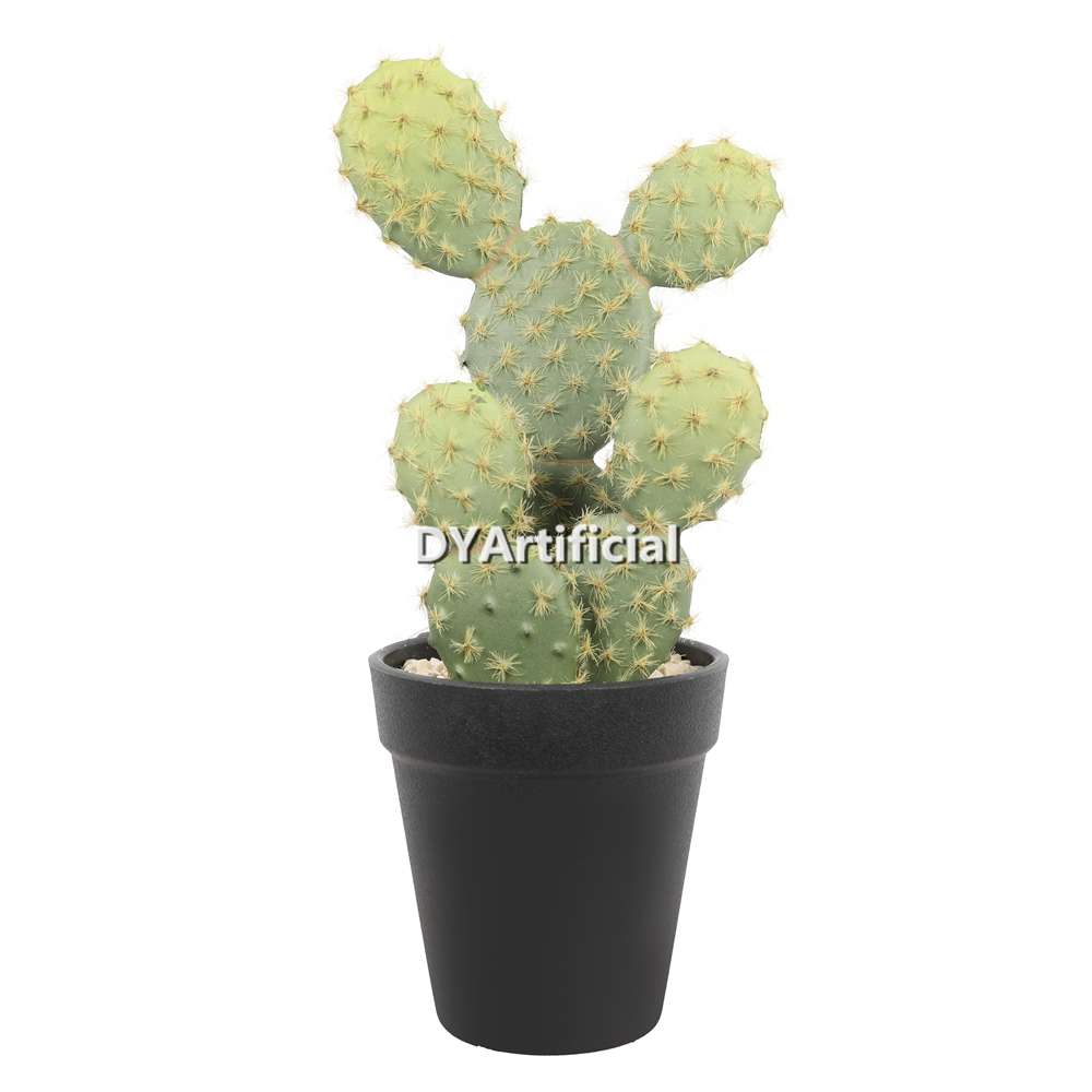 Cactus In Plastic Pot 25.5CM Height Indoor