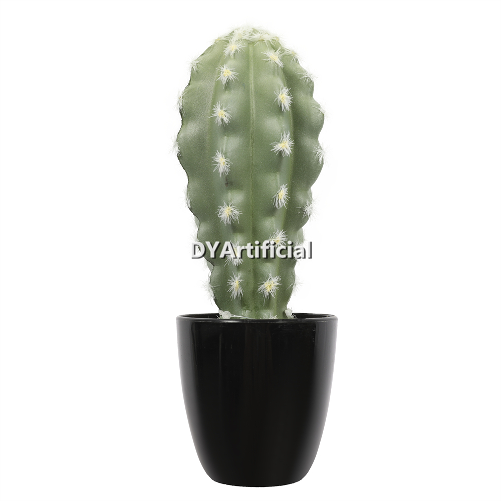 Cactus In Plastic Pot 21.5CM Height Indoor