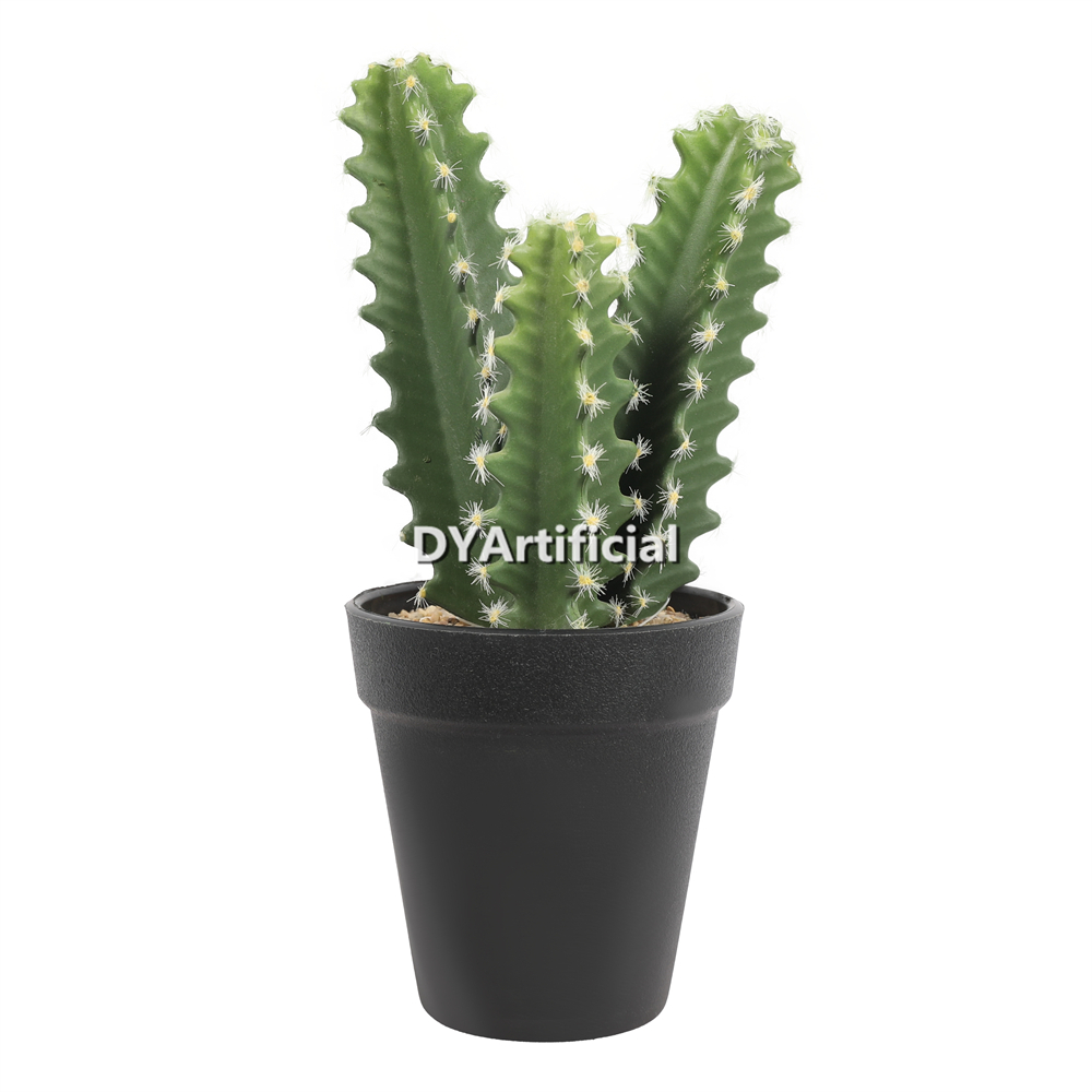 Cactus In Plastic Pot 23CM Height Indoor